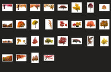 Load image into Gallery viewer, 1200+ Wonderful Autumn Overlays Bundle