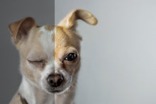 Load image into Gallery viewer, PRO 1080+ | Professional Adobe Lightroom Presets